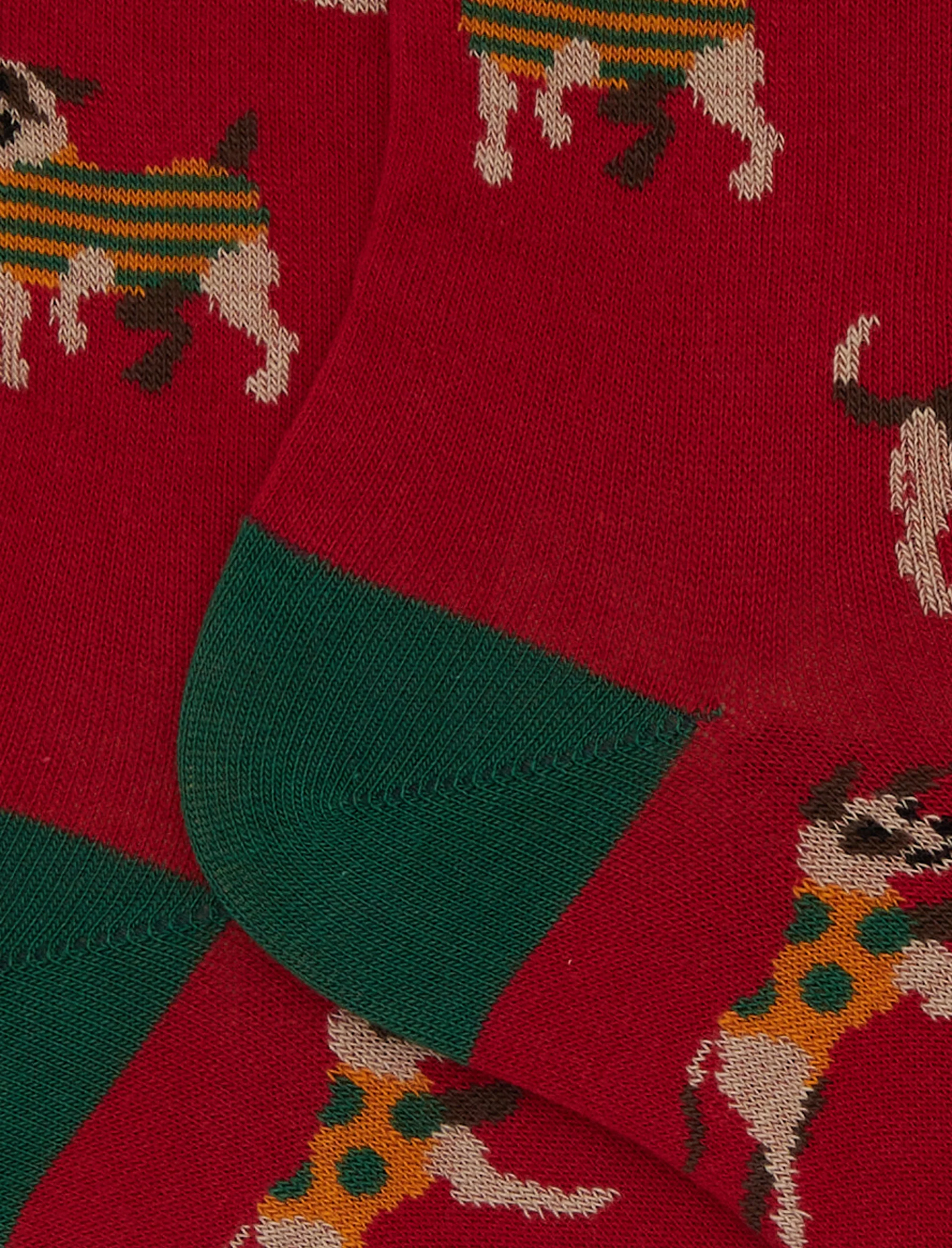Calze corte uomo cotone rosso fantasia cani - Image 2