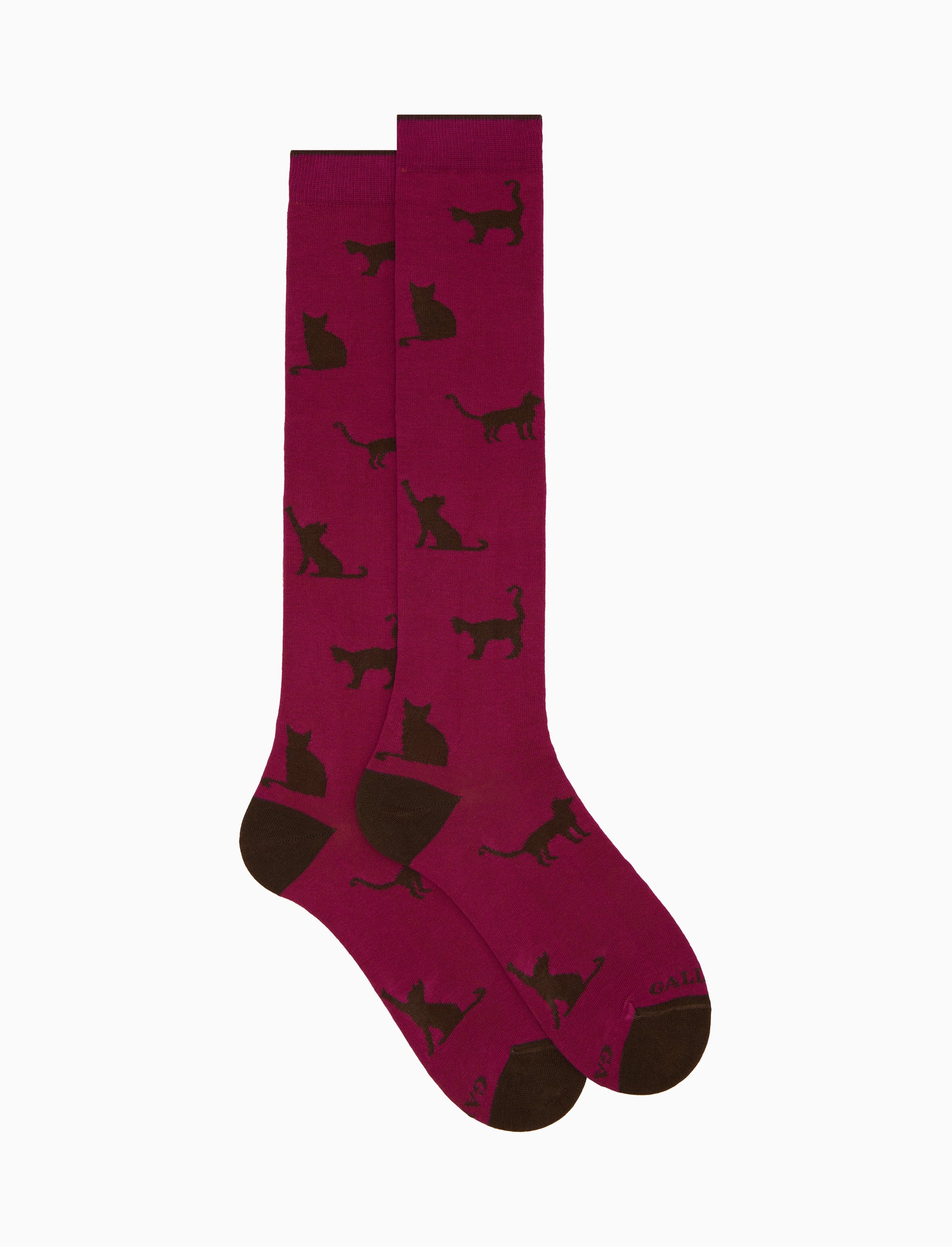Calze lunghe donna cotone fucsia fantasia gatti