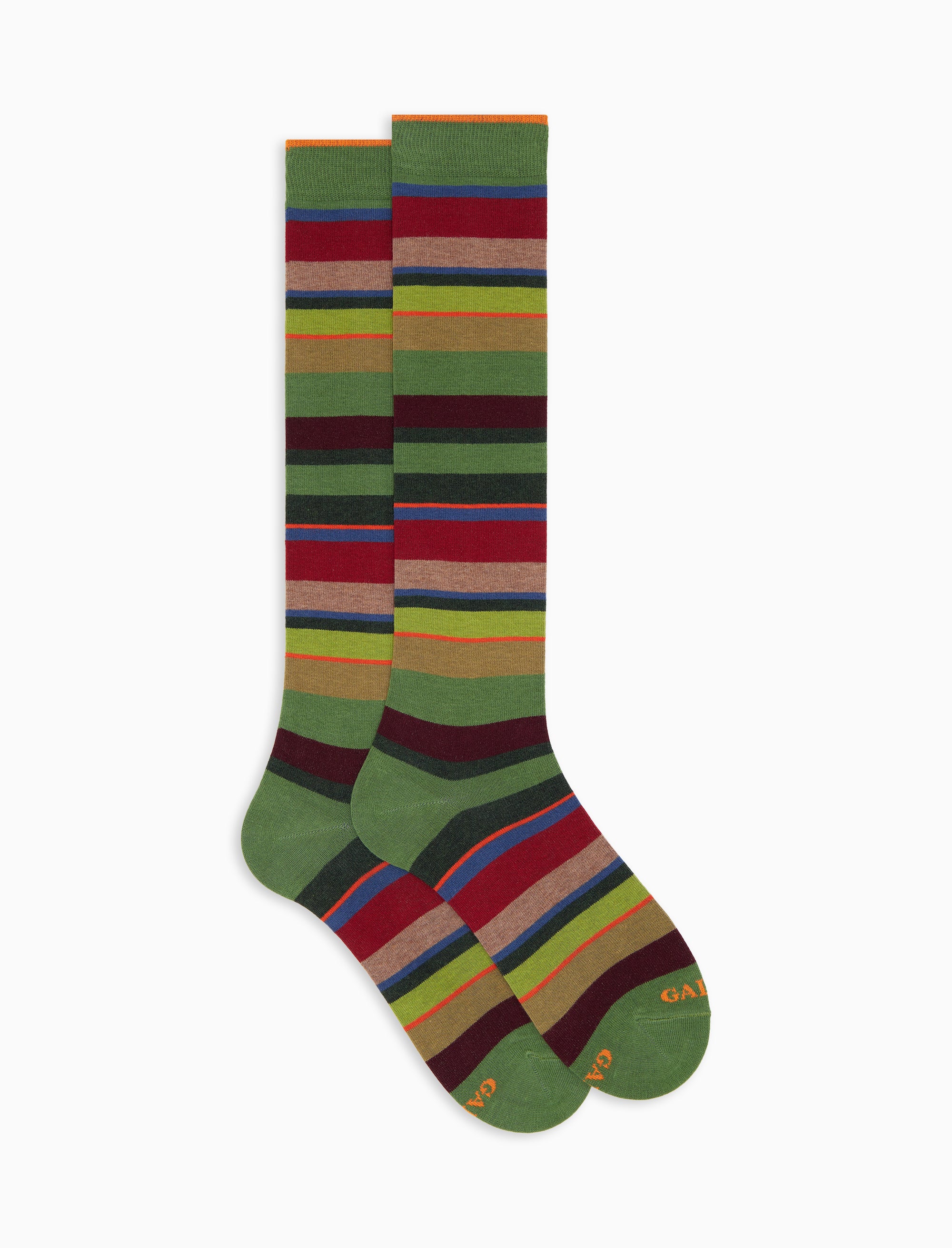 Calze lunghe donna cotone verde righe multicolor