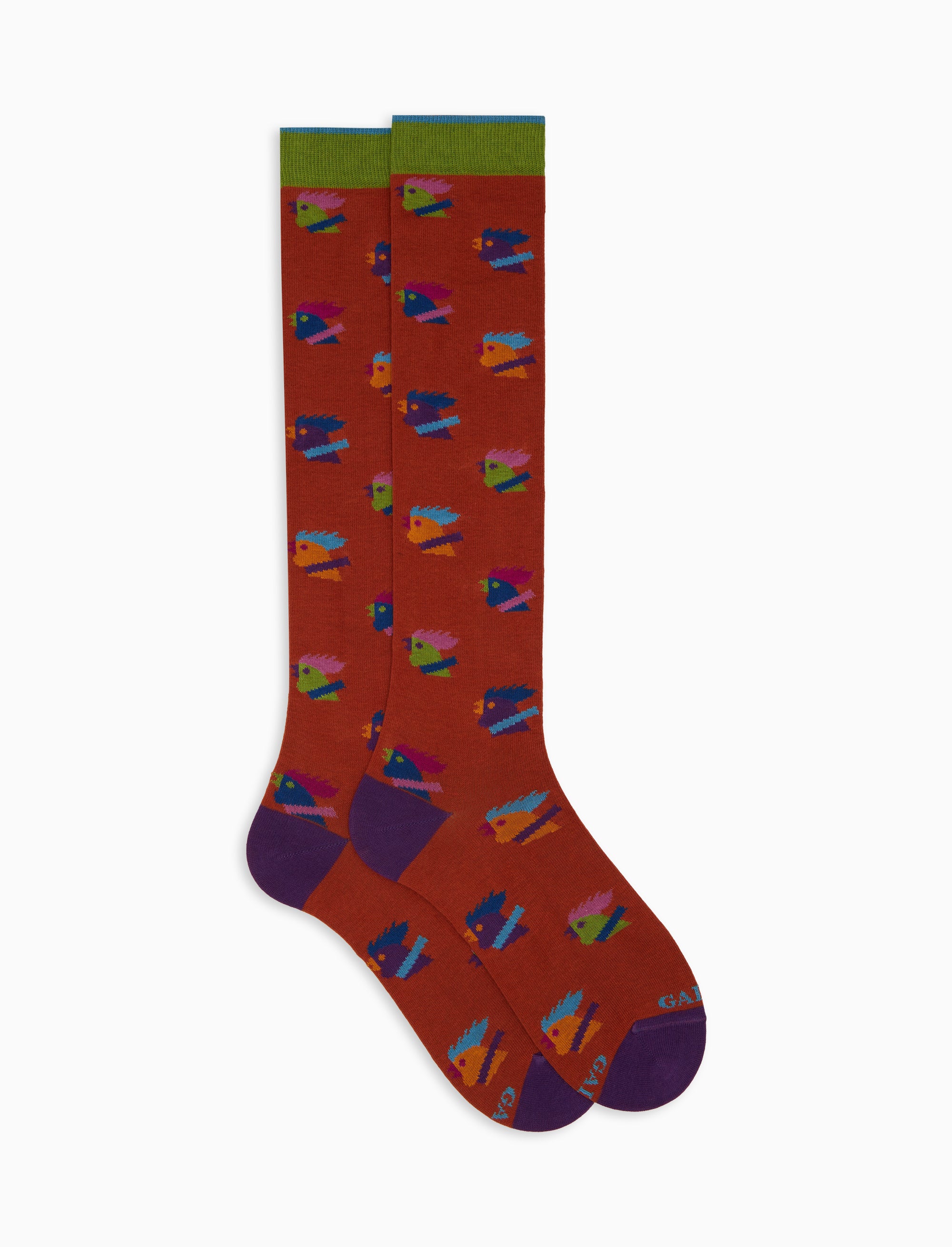 Calze lunghe uomo cotone arancio fantasia galli multicolore