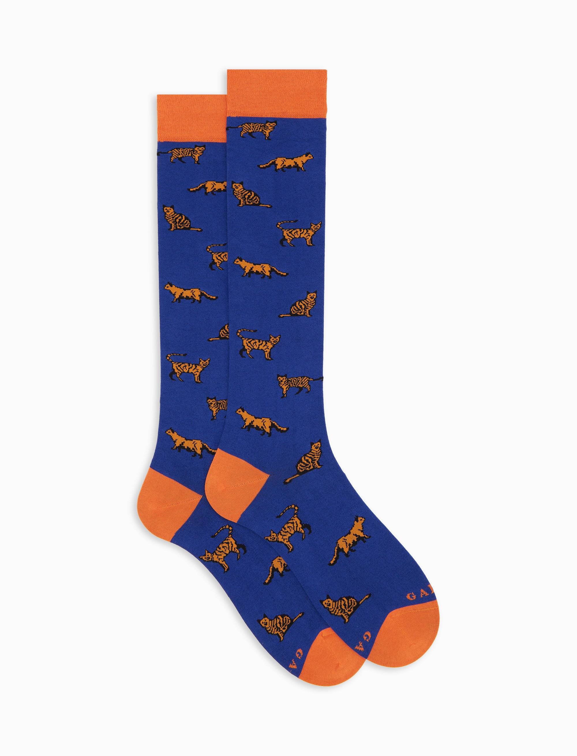 Calze lunghe uomo cotone blu fantasia gatti