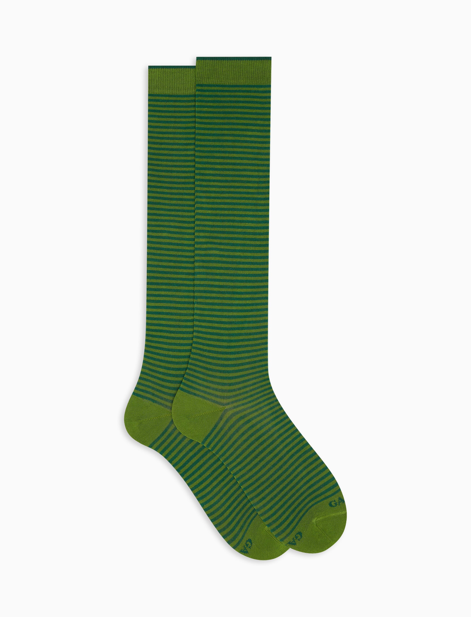 Calze lunghe uomo cotone leggero cactus righe windsor