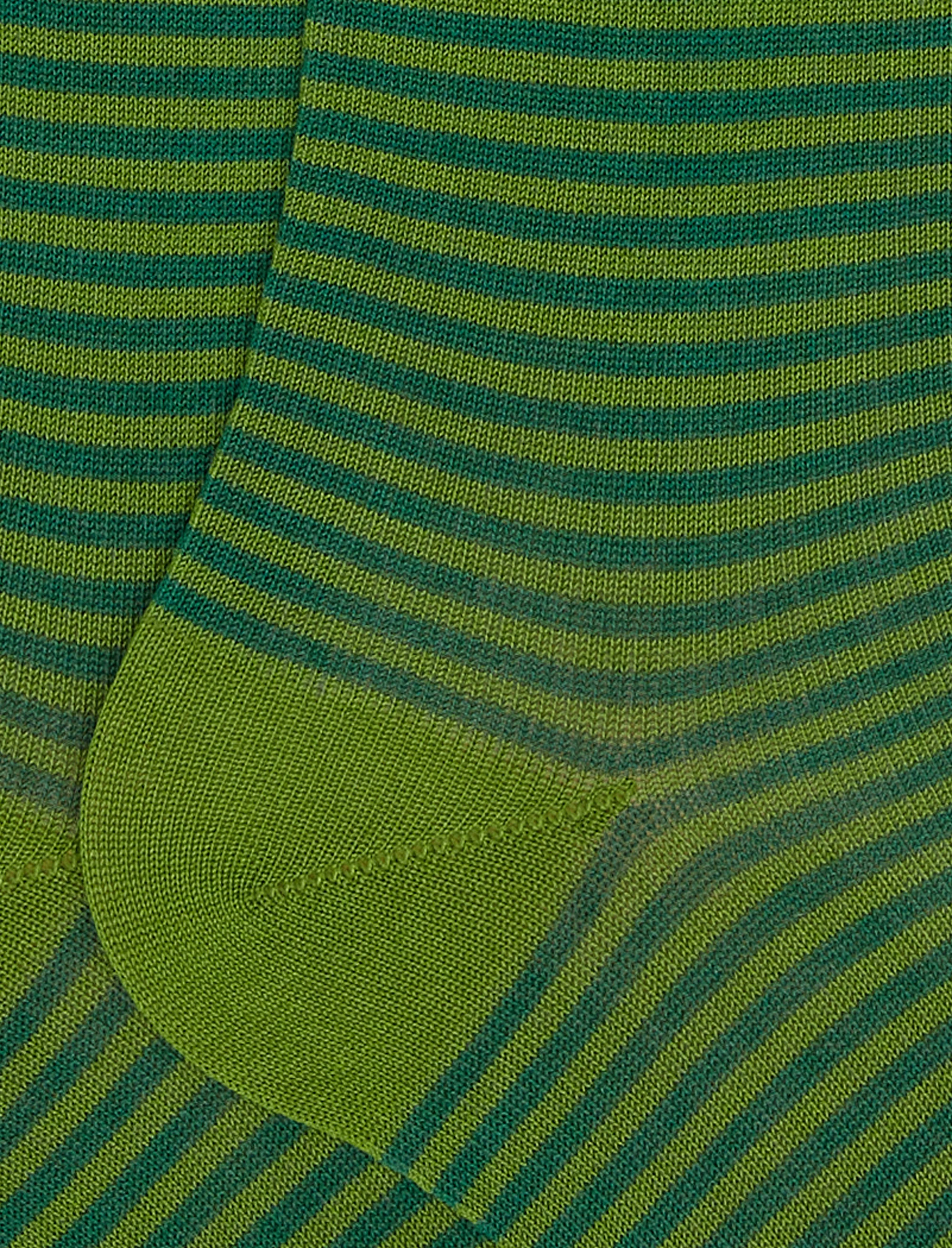 Calze lunghe uomo cotone leggero cactus righe windsor - Image 2
